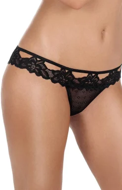 Falka stringi