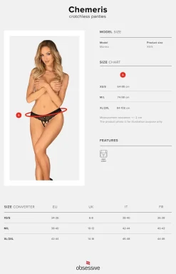 Damskie Obsessive Majtki Z Dziurką|Figi Koronkowe - koronkowe figi z otwartym krokiem Chemeris