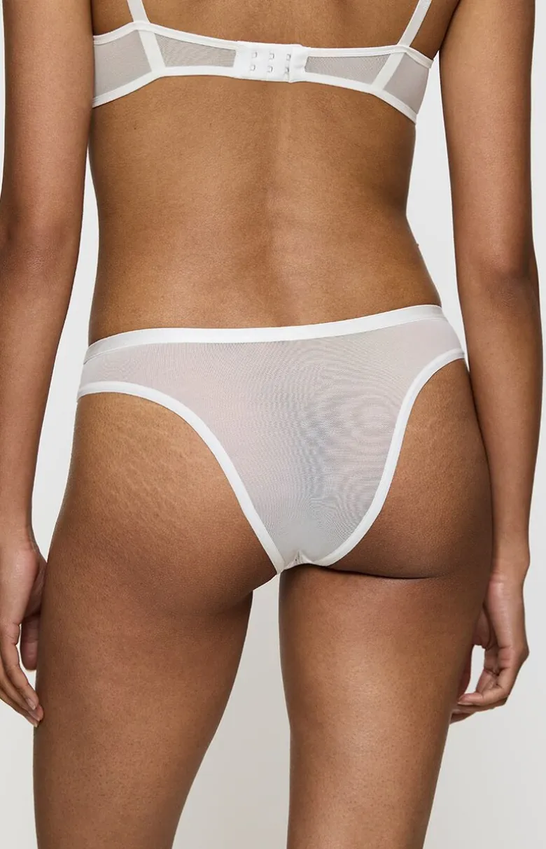 Triumph figi brazylijskie Delightful Spotlight 10219844-00GZ