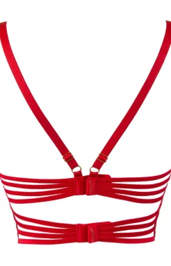 V-9588 stringi