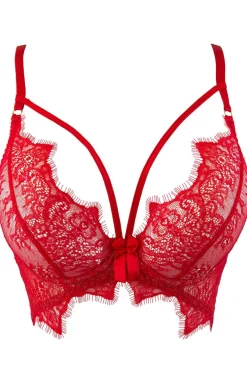 V-9588 stringi